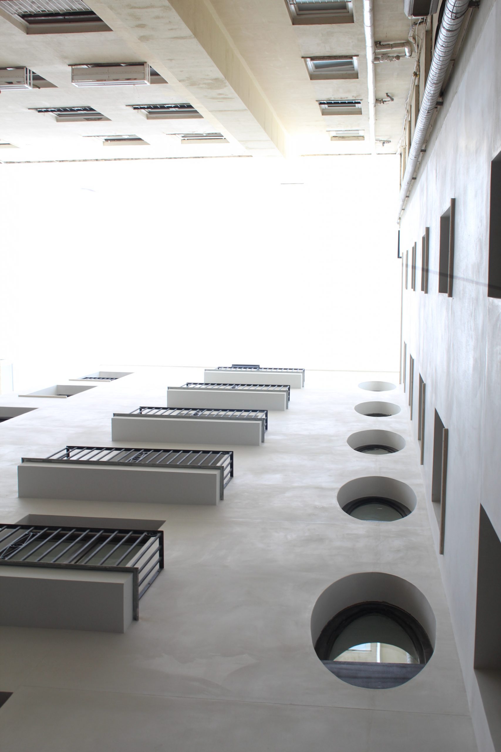 Alberto Bosch 11-133